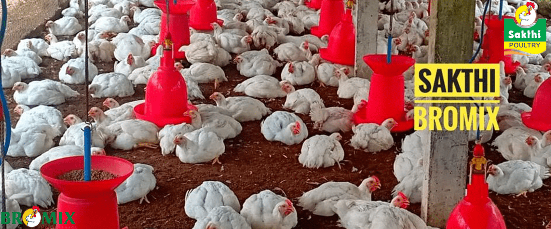 About Sakthi Poultry Banner